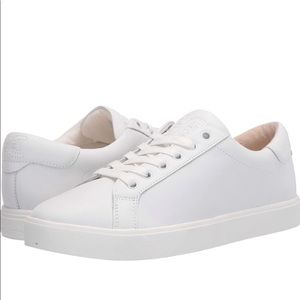 SAM EDELMAN Ethyl Lace Up Sneaker In white leather